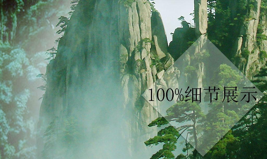 逗小猴开心系列199